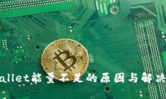 TPWallet能量不足的原因与解